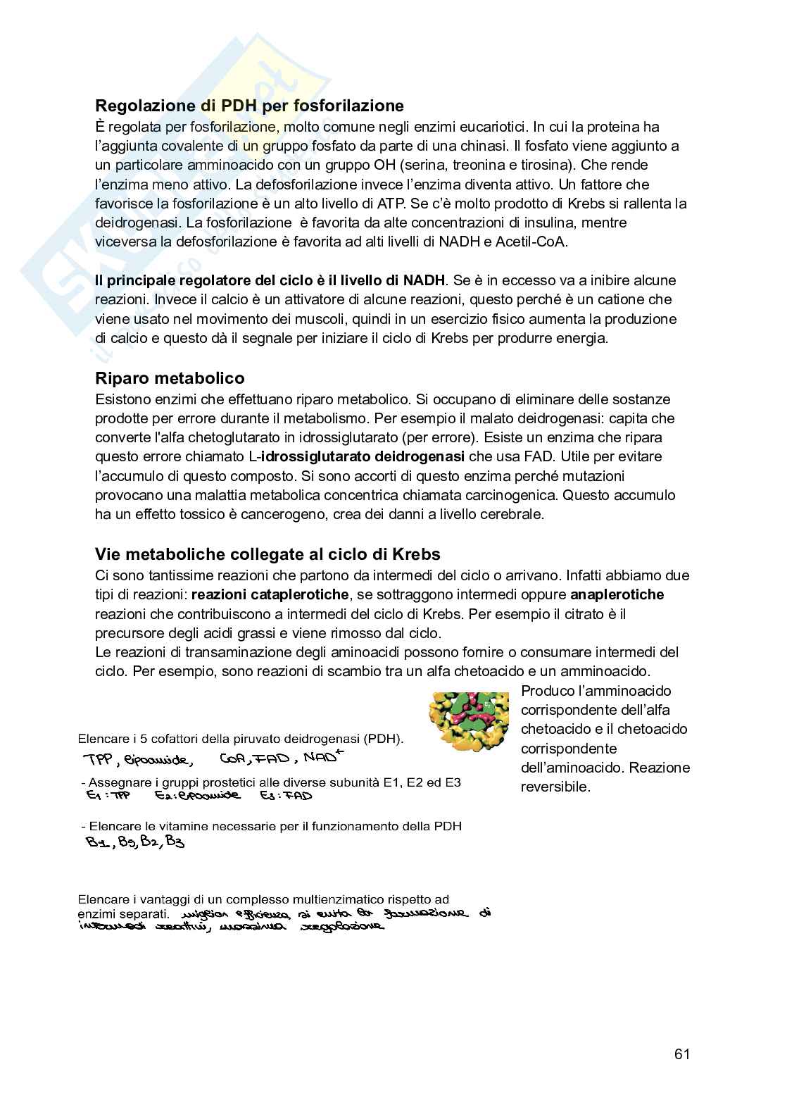 Basi chimiche della vita Pag. 61