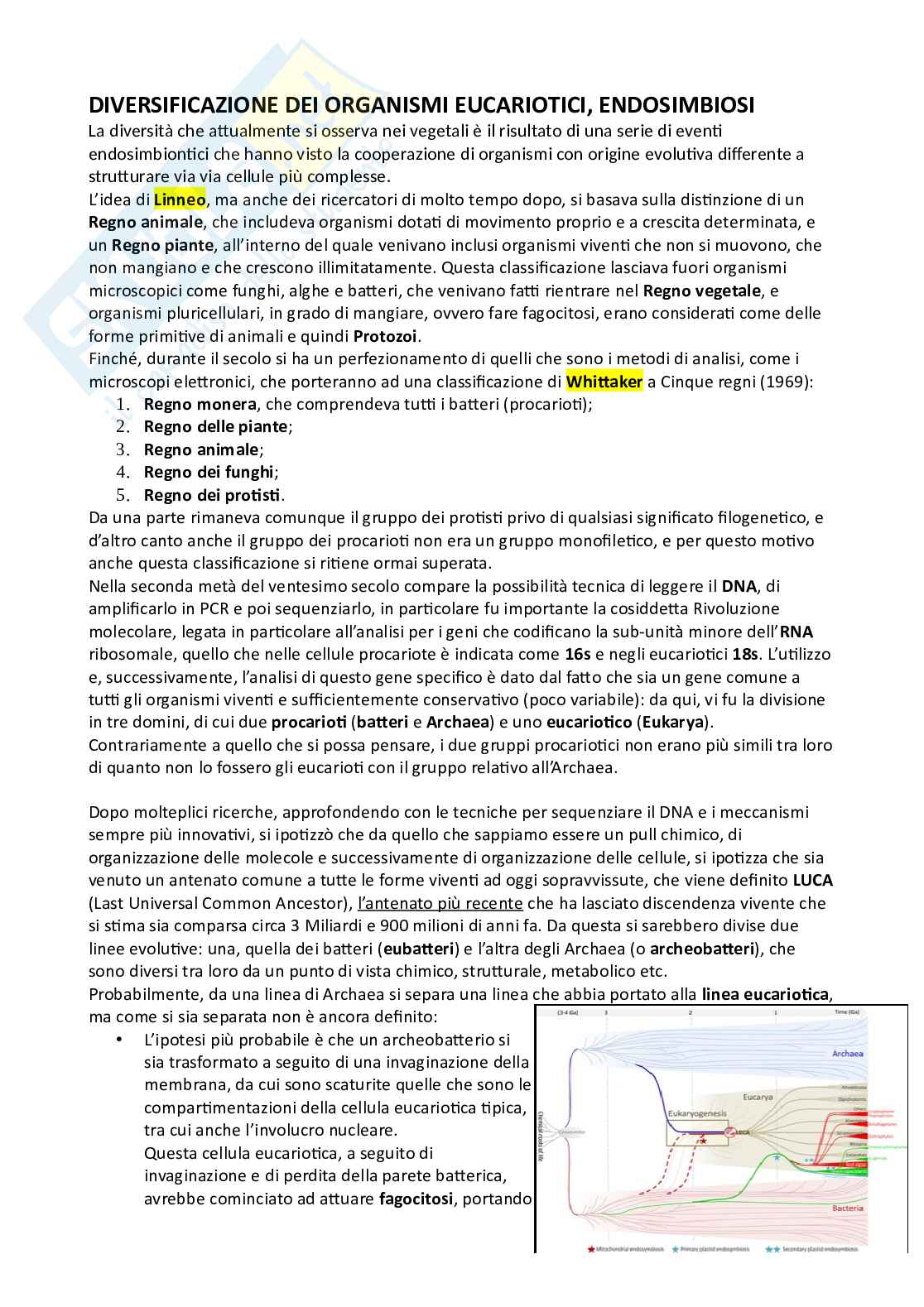 Botanica sistematica Pag. 1