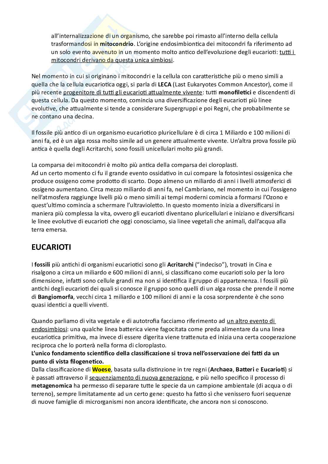 Botanica sistematica Pag. 2
