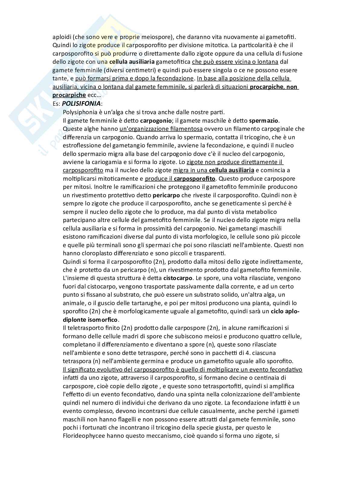 Botanica sistematica Pag. 21