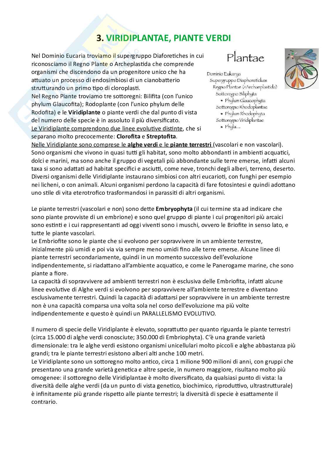 Botanica sistematica Pag. 26
