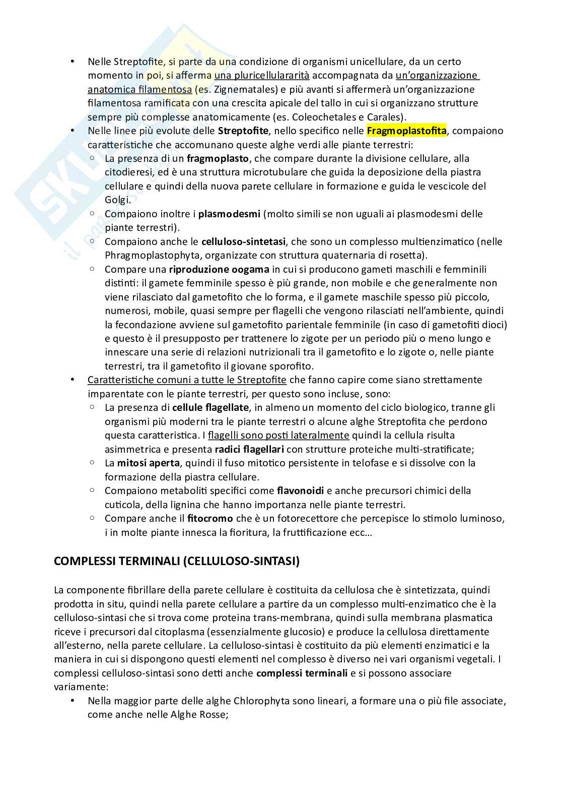 Botanica sistematica Pag. 36
