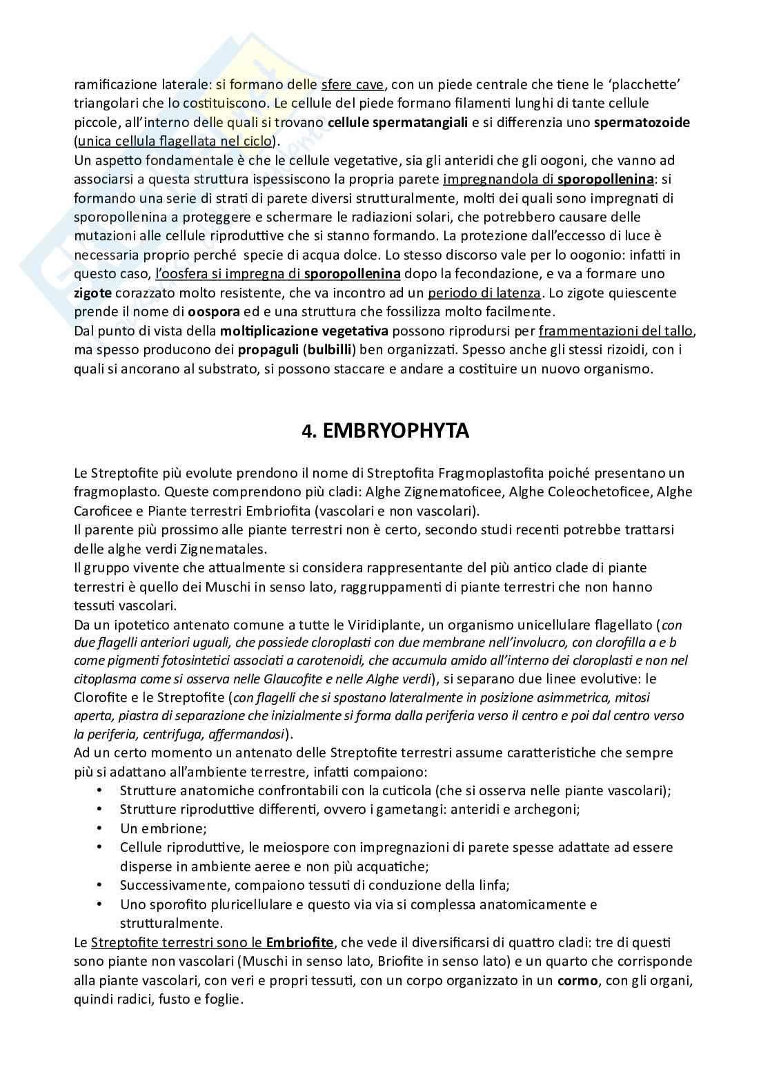 Botanica sistematica Pag. 41