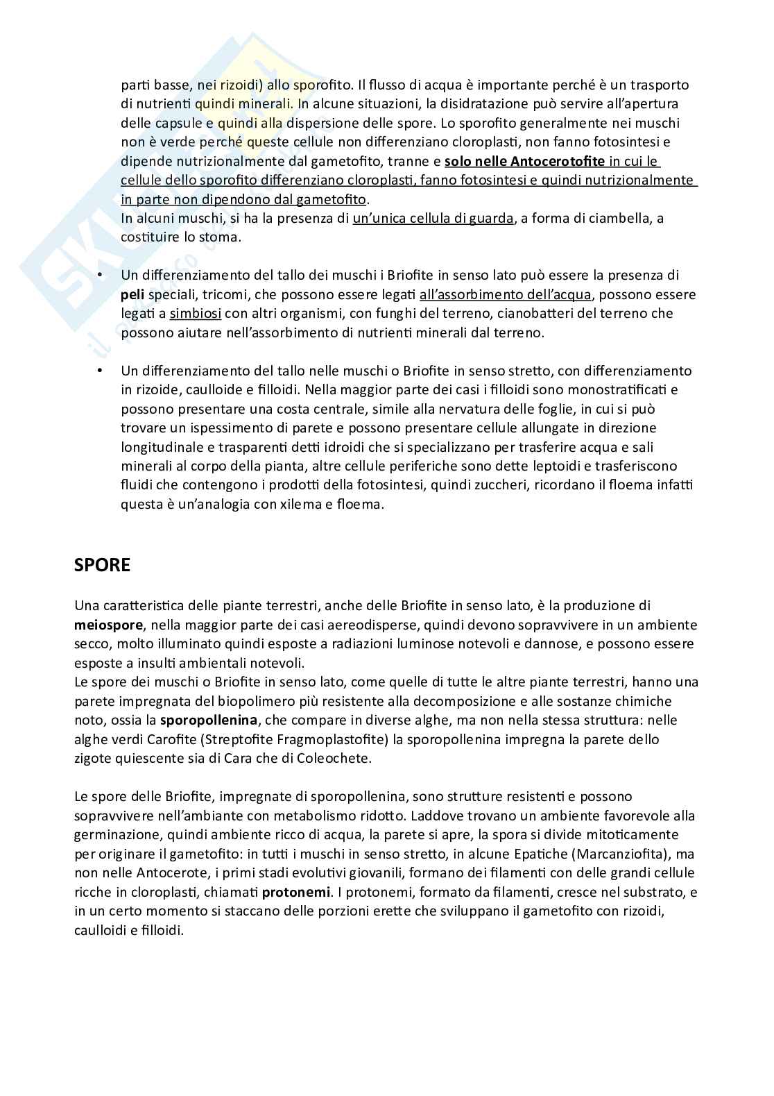 Botanica sistematica Pag. 46