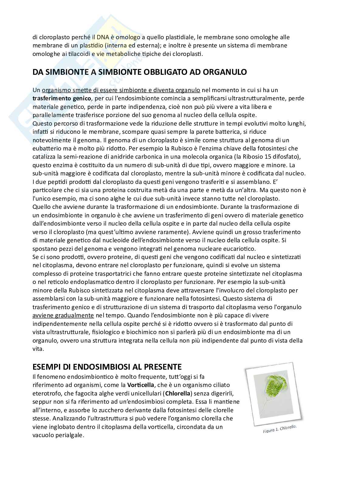 Botanica sistematica Pag. 6