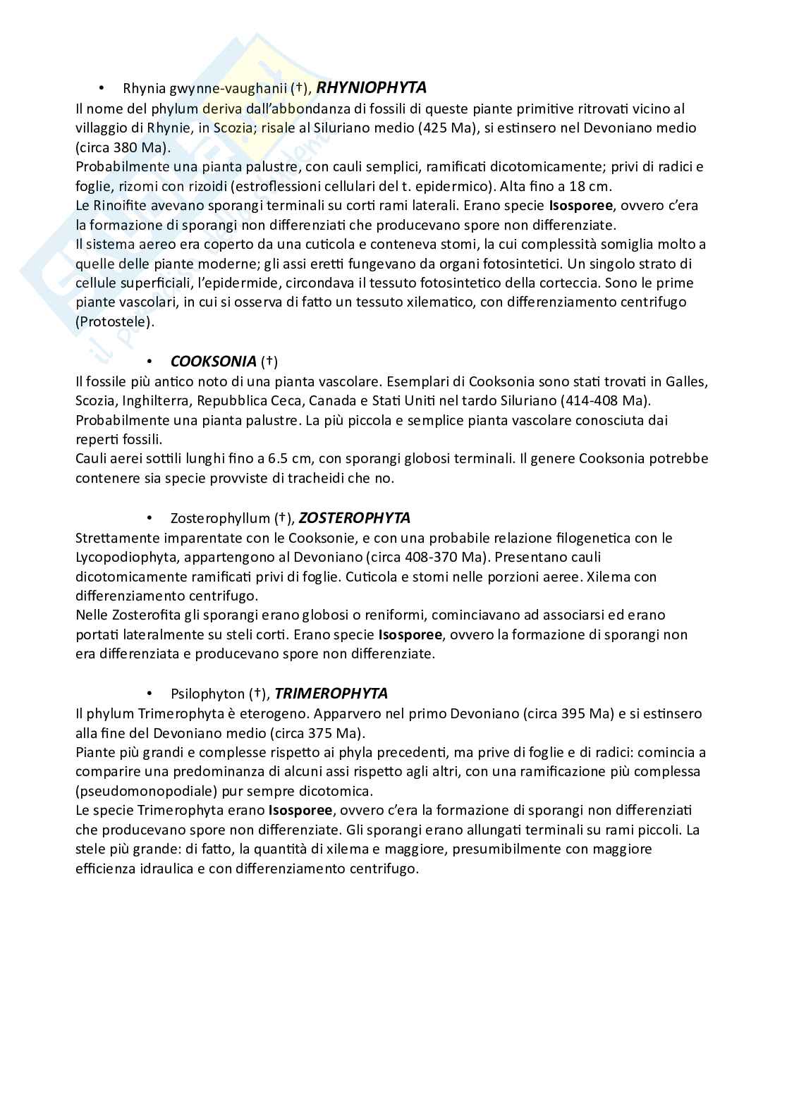 Botanica sistematica Pag. 66