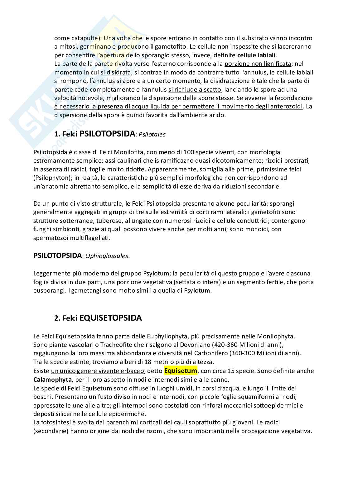 Botanica sistematica Pag. 71