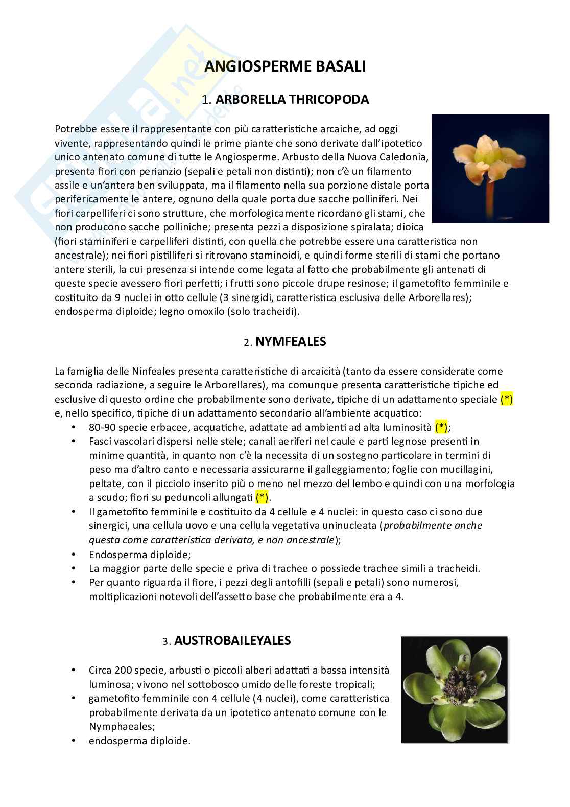 Botanica sistematica Pag. 91