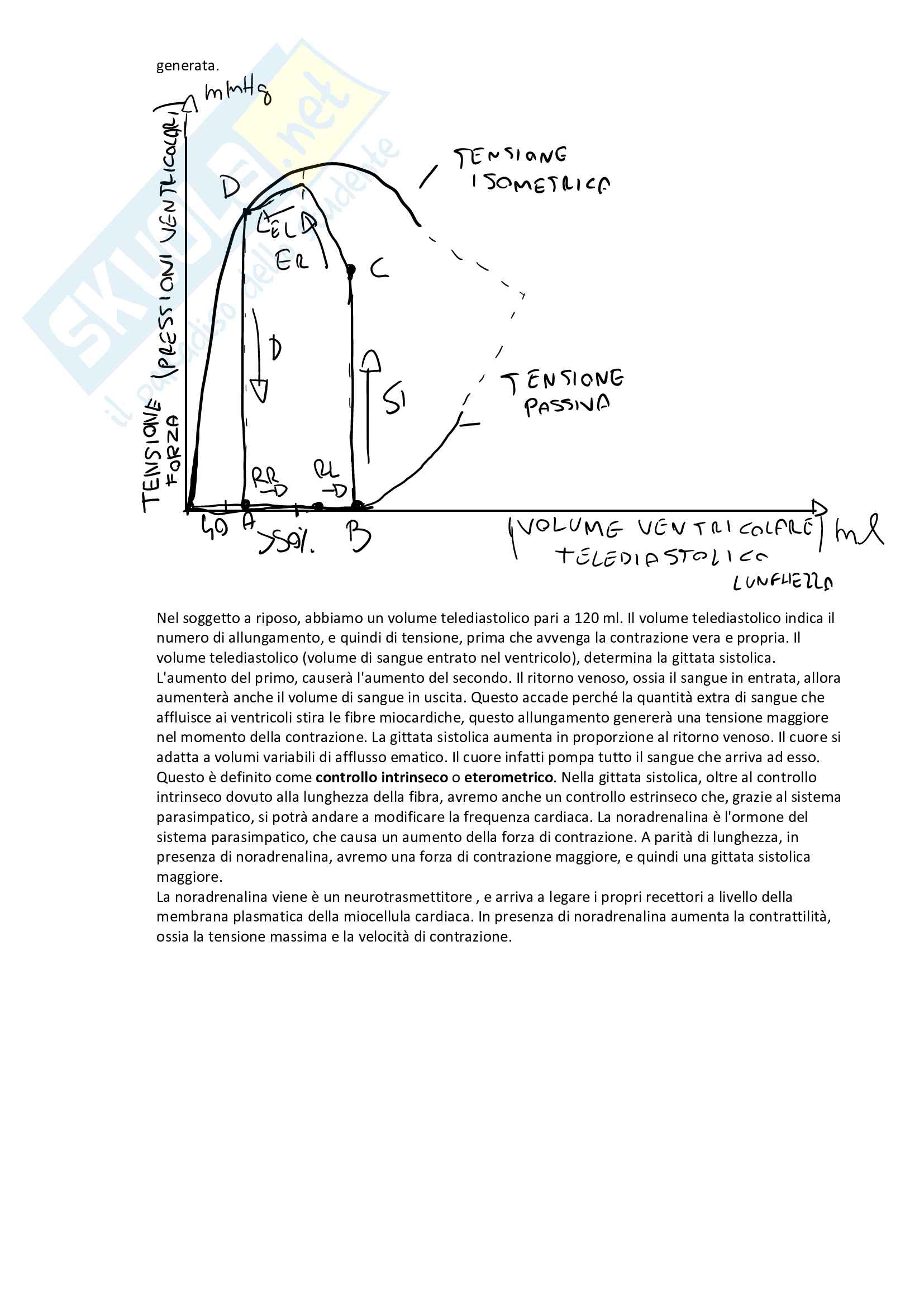 Fisiologia apparato respiratorio, cardiaco, renale e endocrino Pag. 26