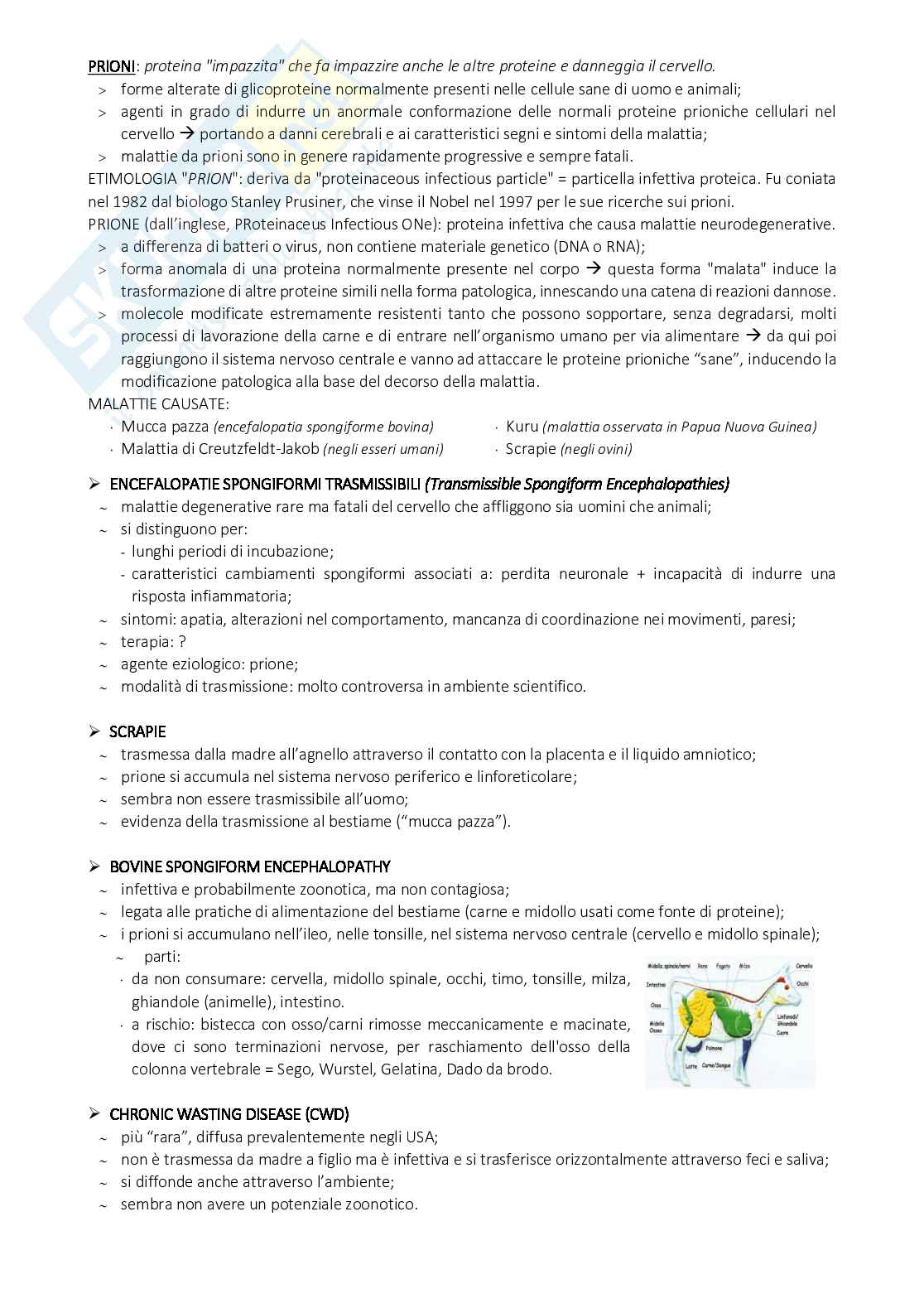 Appunti Microbiologia degli alimenti Pag. 41