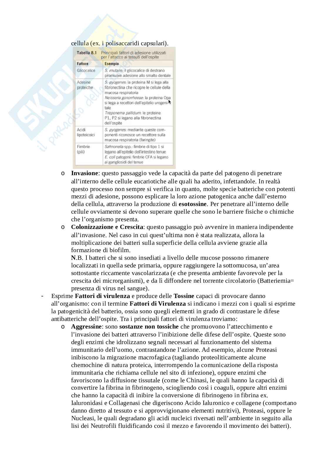 Appunti di Microbiologia Pag. 81