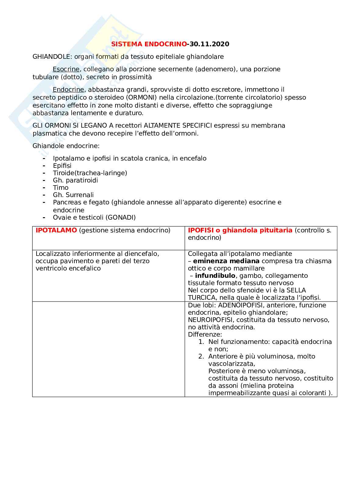 Sistema endocrino Pag. 1