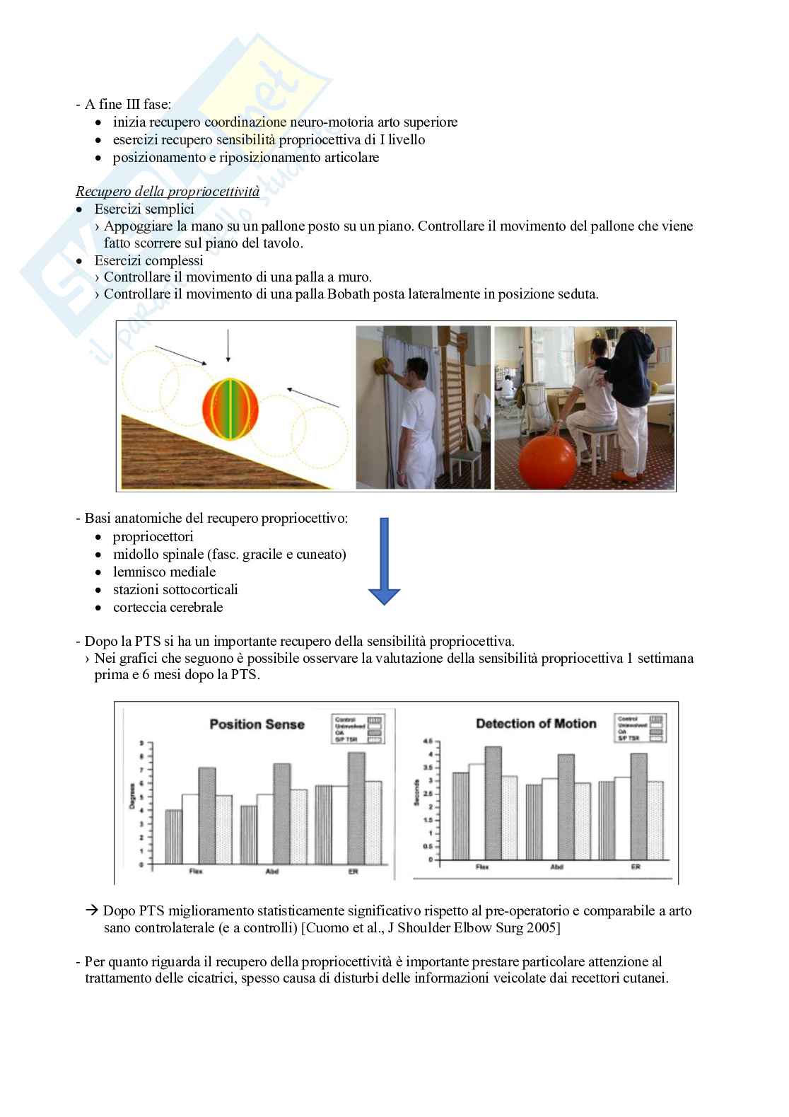 Fisioterapia - Elementi base di medicina fisica e riabilitativa  Pag. 31