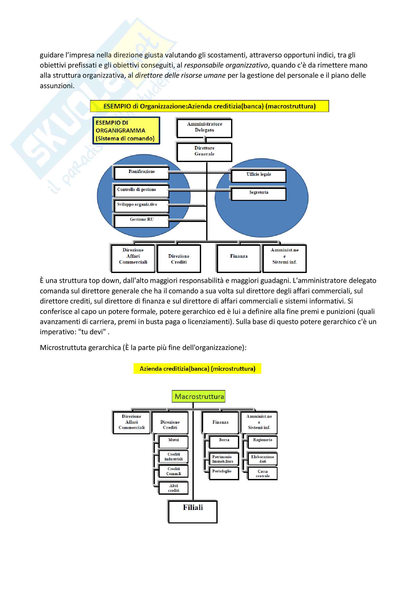 Sintesi economia e controllo delle organizzazioni Pag. 2