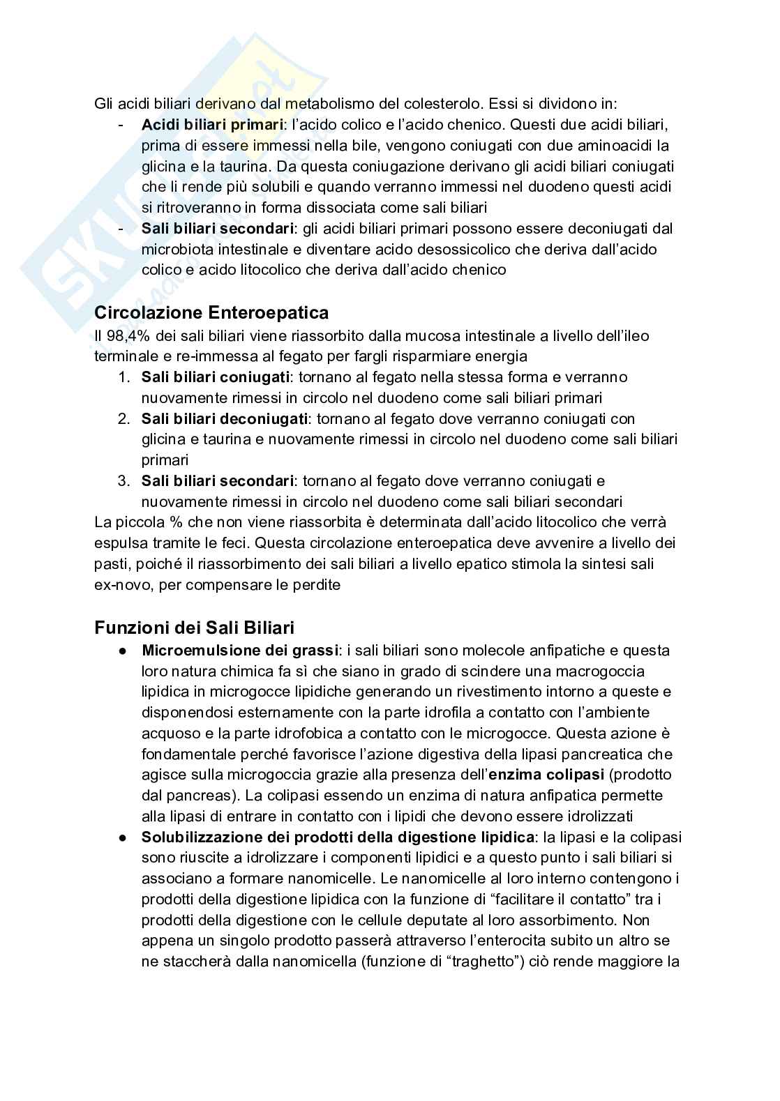 Fisiologia della nutrizione Pag. 16