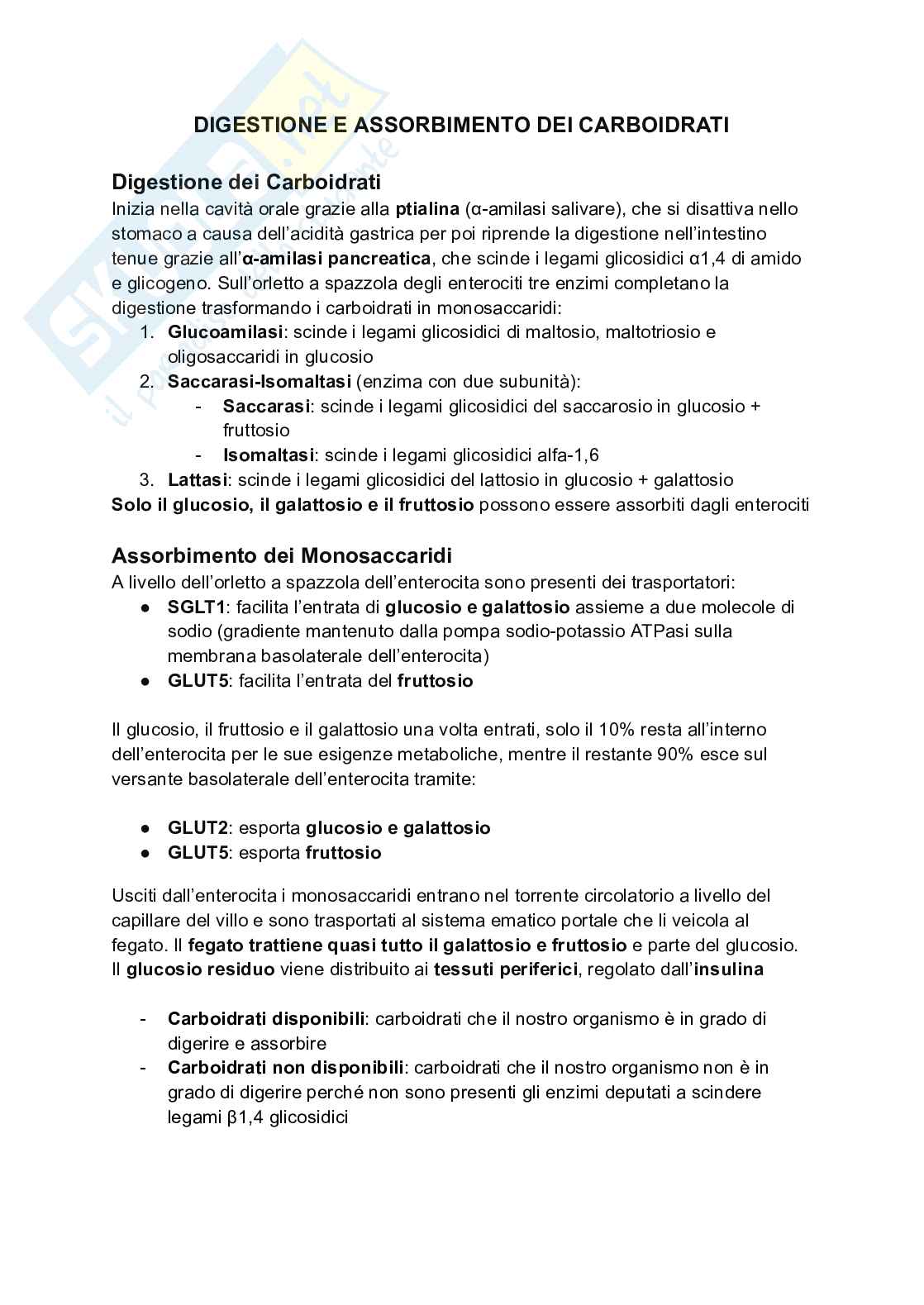 Fisiologia della nutrizione Pag. 21