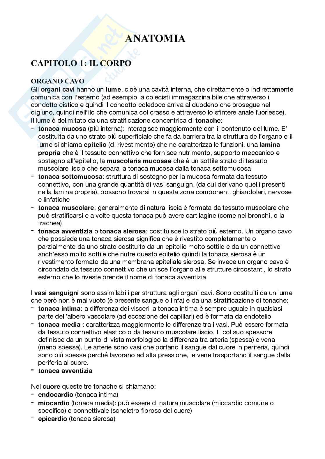 Anatomia umana Pag. 1