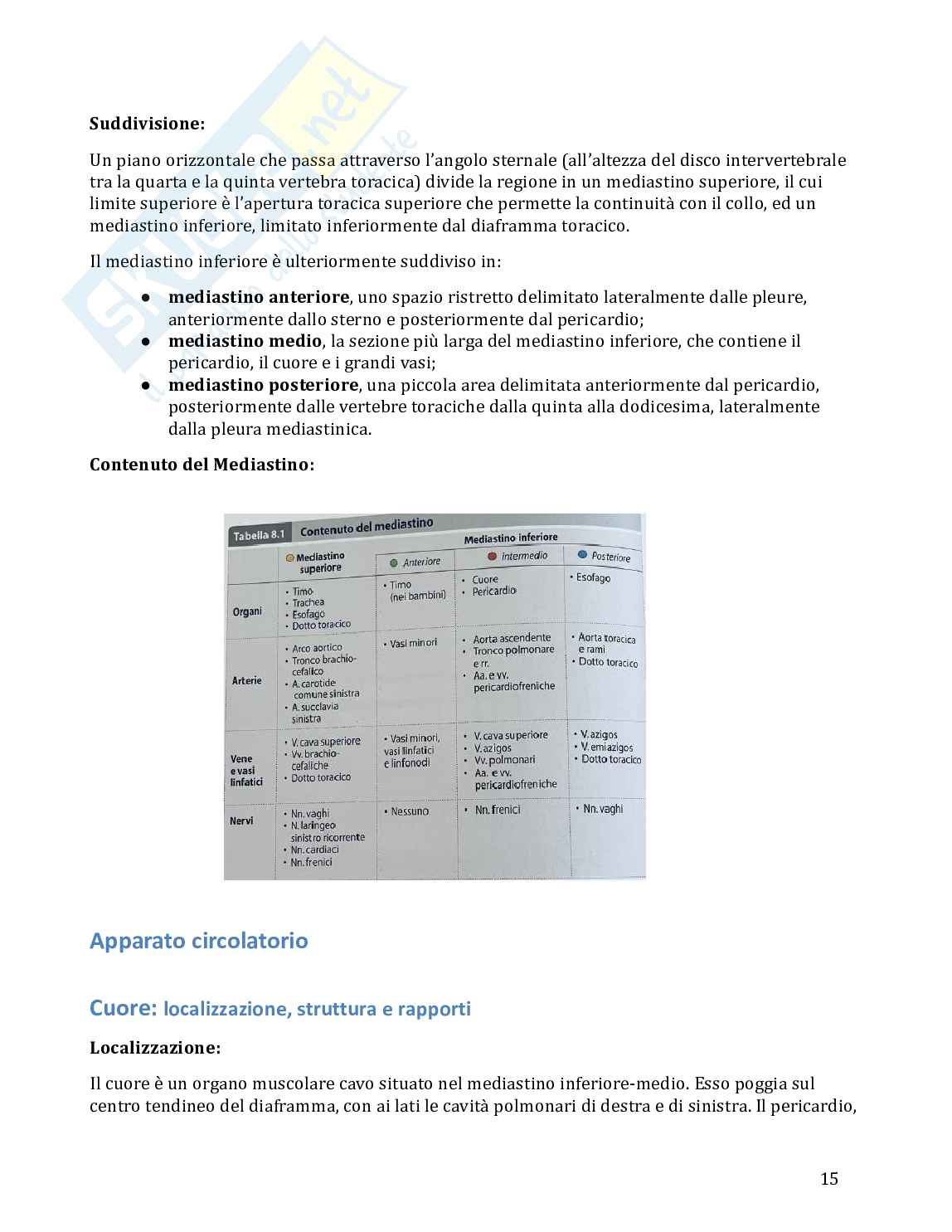 Anatomia umana in 100 semplici pagine Pag. 16
