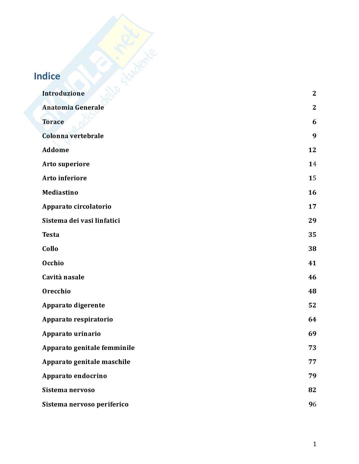 Anatomia umana in 100 semplici pagine Pag. 2