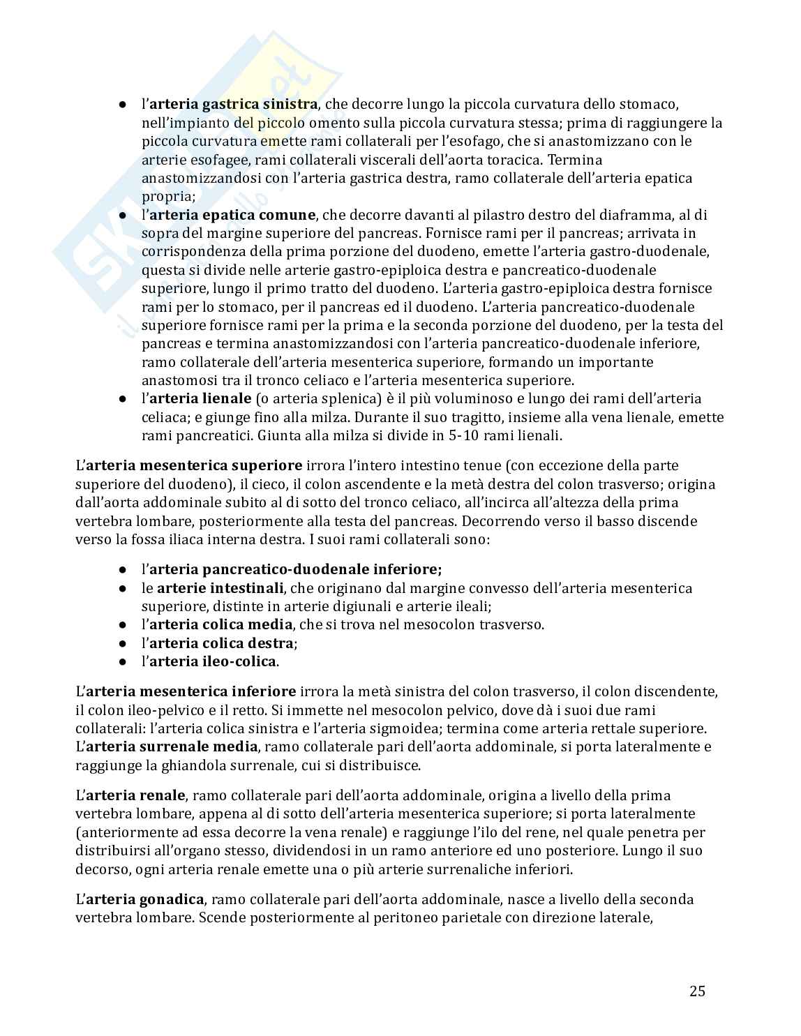 Anatomia umana in 100 semplici pagine Pag. 26