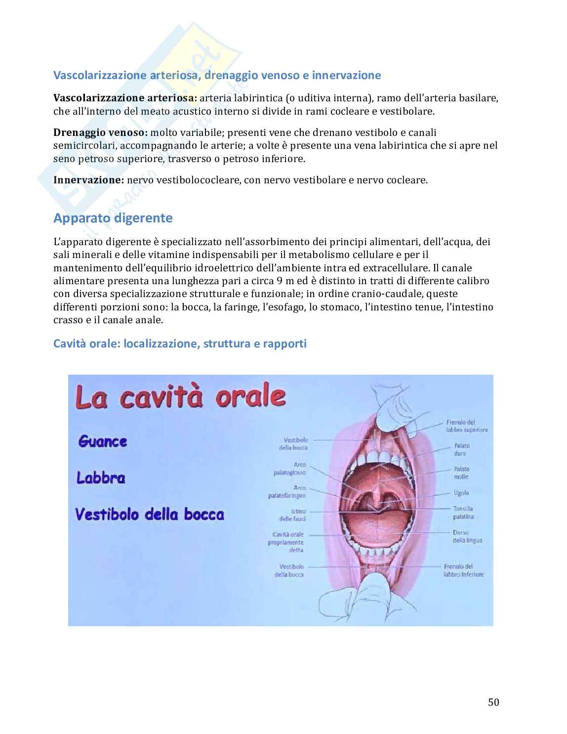 Anatomia umana in 100 semplici pagine Pag. 51