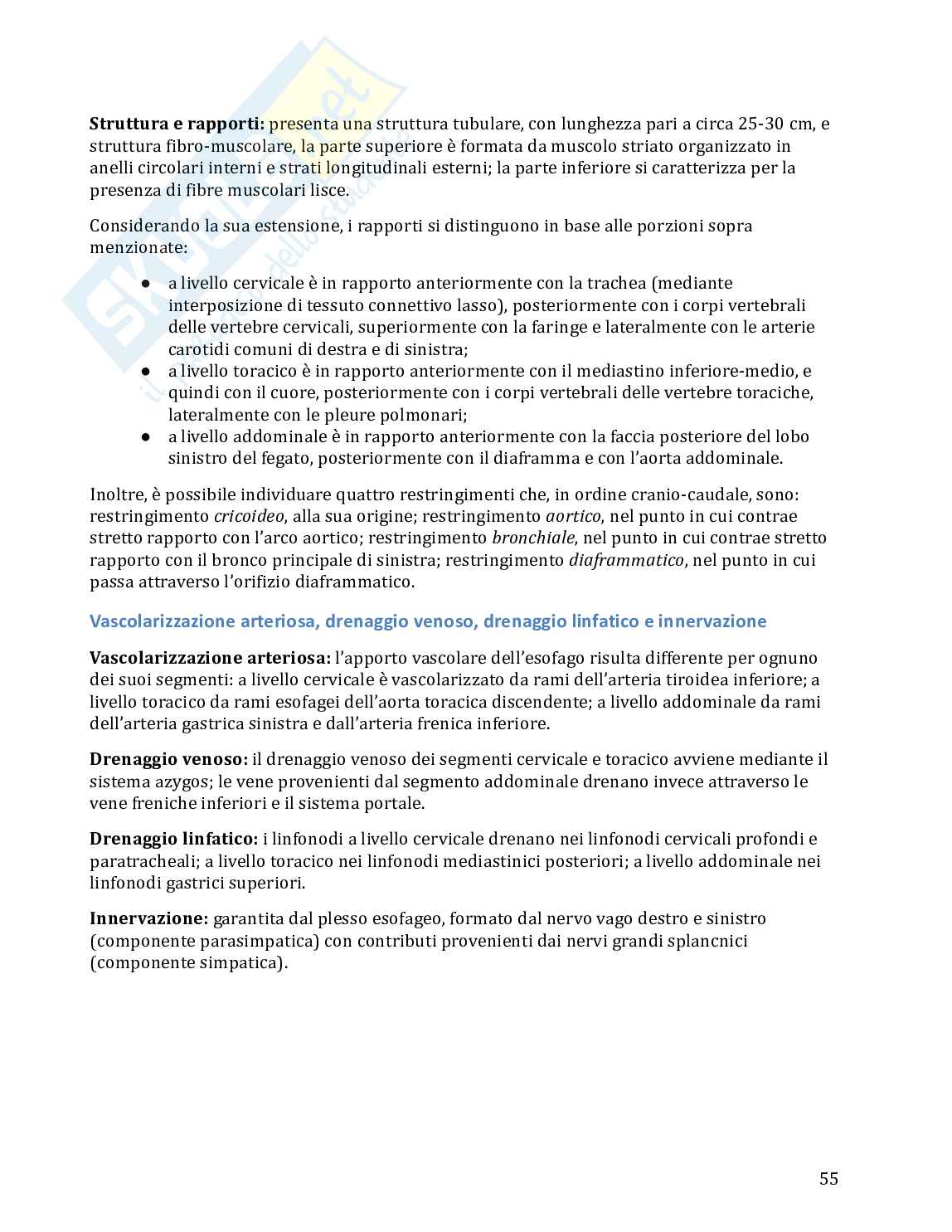 Anatomia umana in 100 semplici pagine Pag. 56