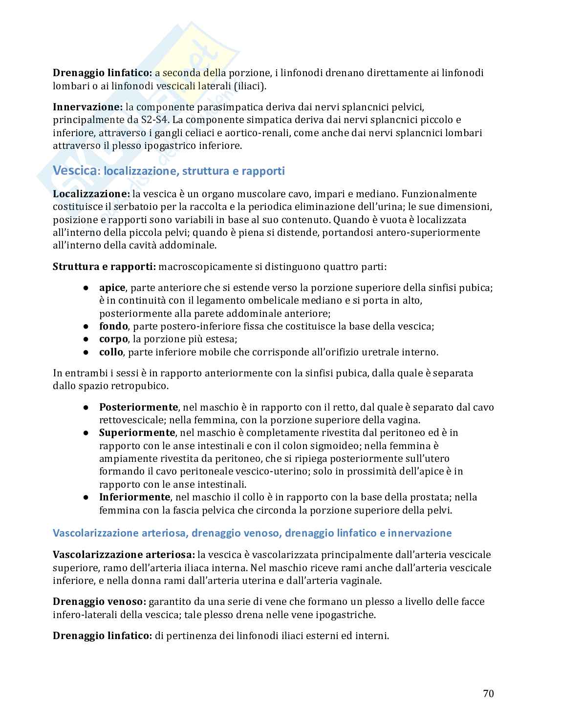Anatomia umana in 100 semplici pagine Pag. 71