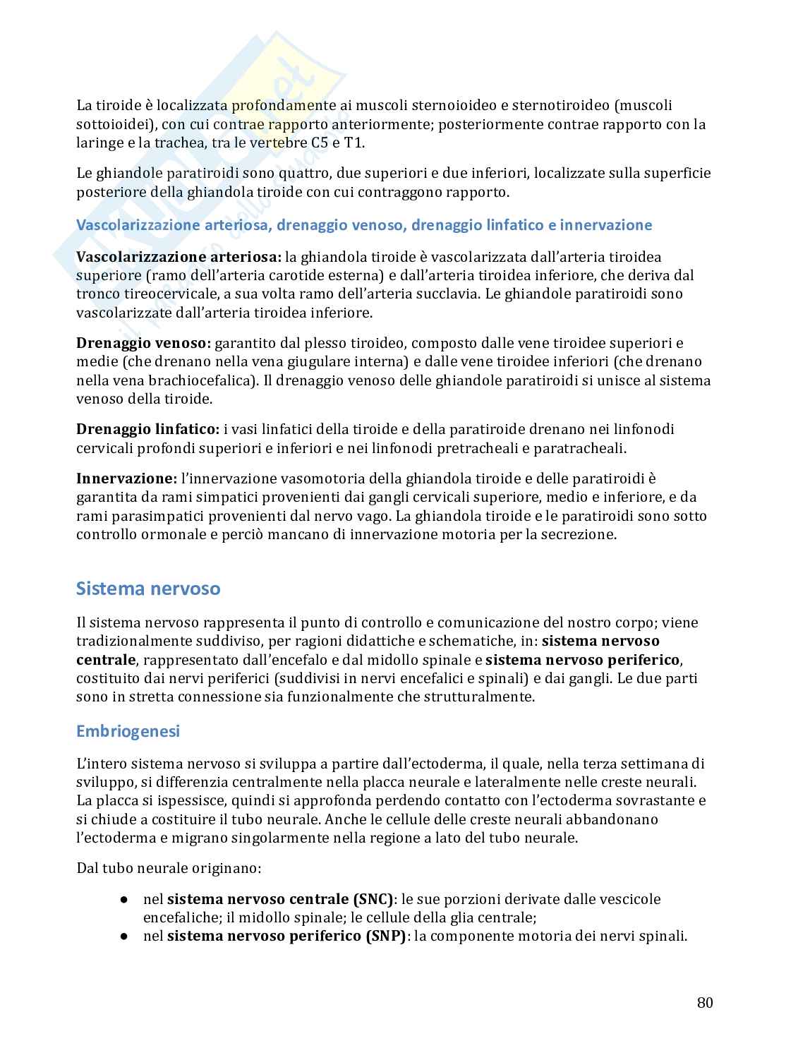 Anatomia umana in 100 semplici pagine Pag. 81