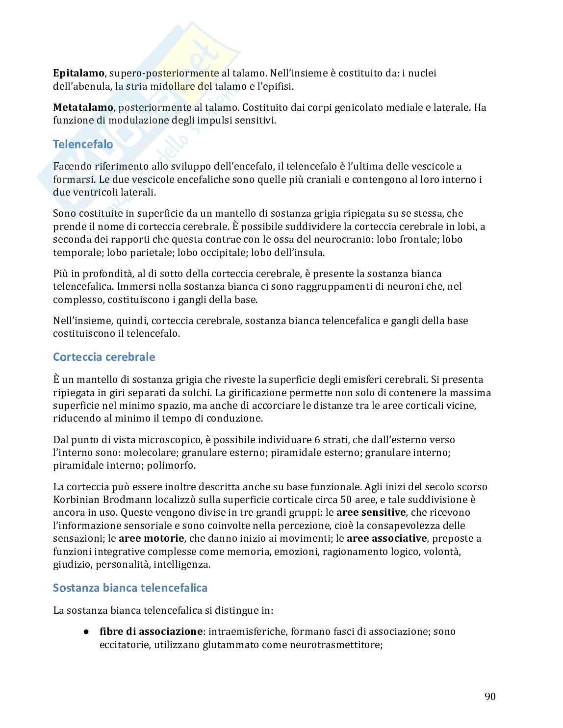 Anatomia umana in 100 semplici pagine Pag. 91