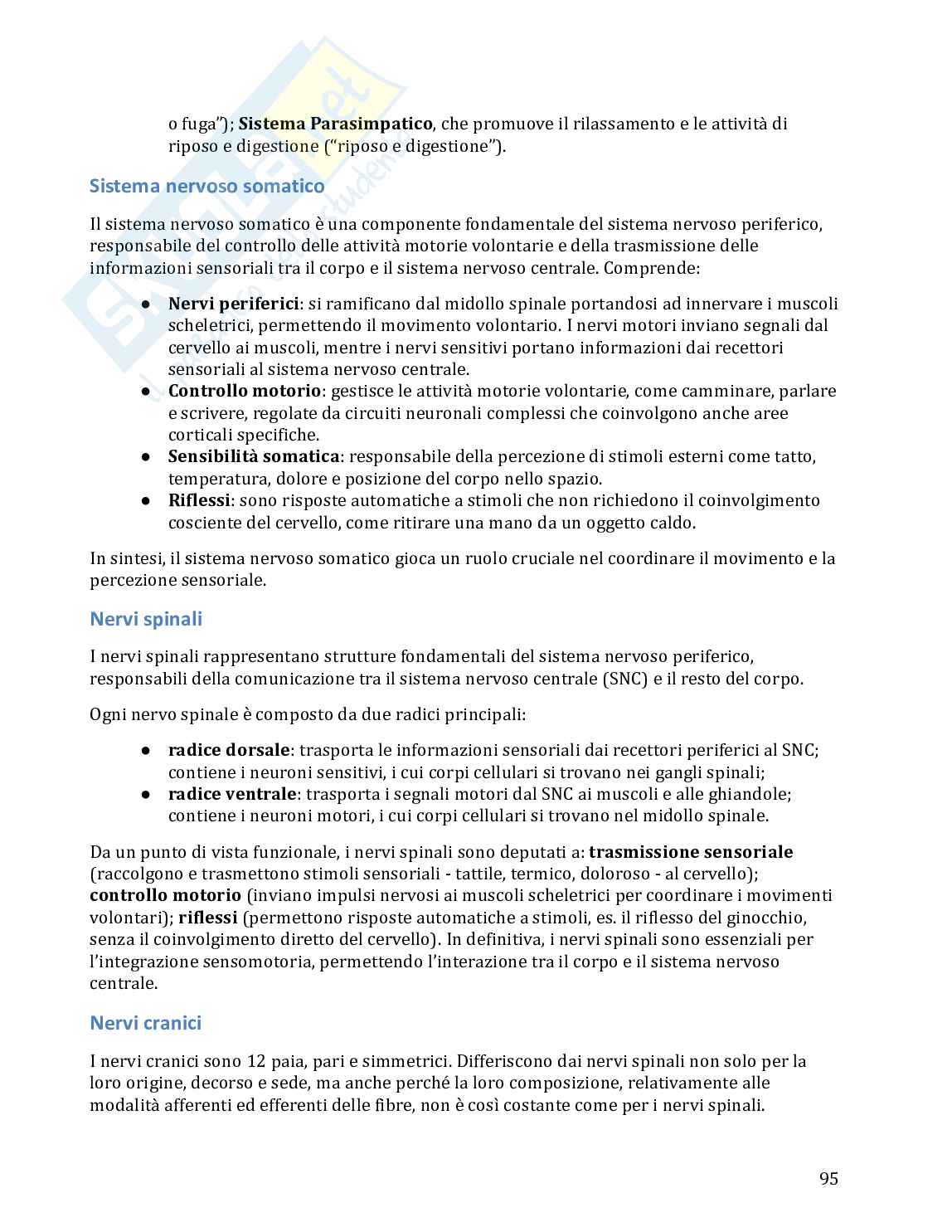Anatomia umana in 100 semplici pagine Pag. 96