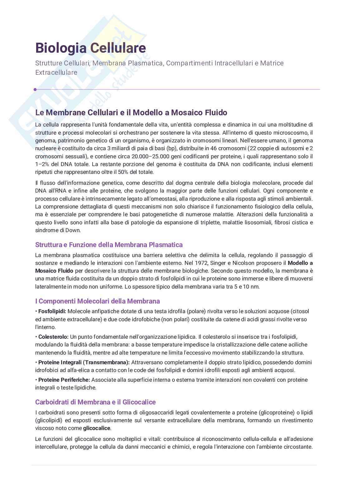 Biologia per semestre filtro Pag. 31