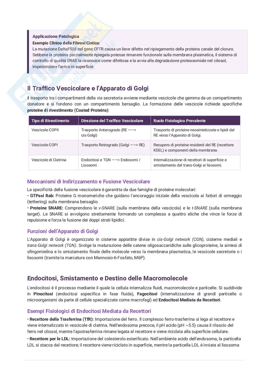 Biologia per semestre filtro Pag. 36