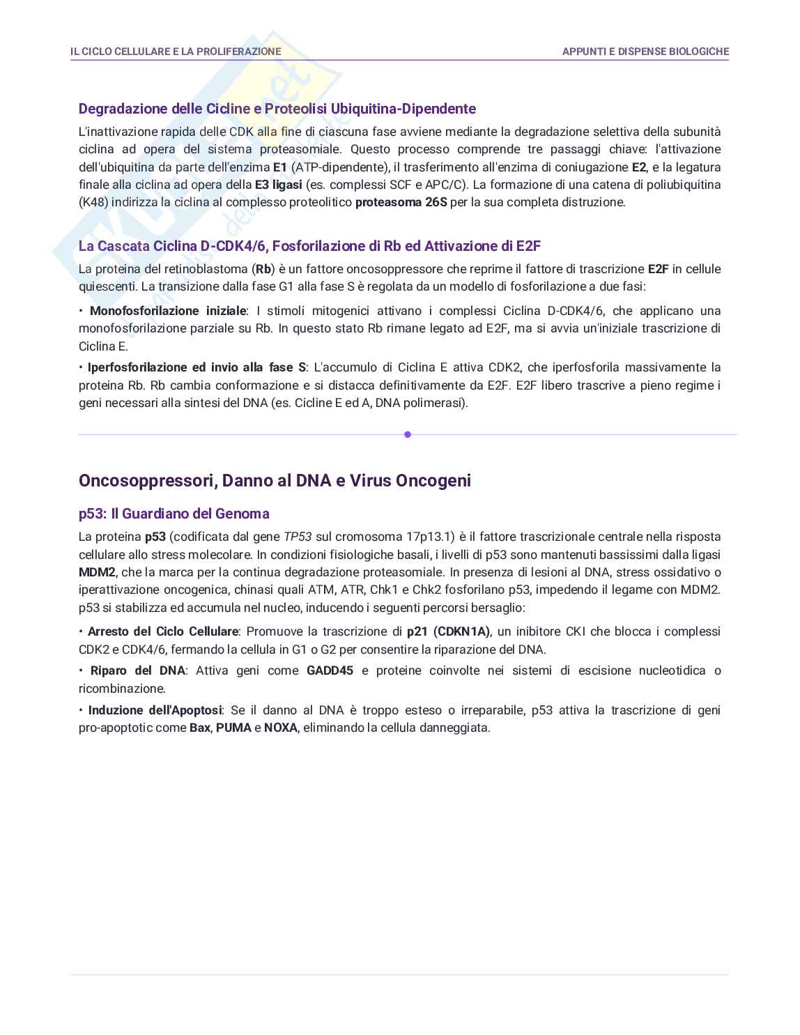 Biologia per semestre filtro Pag. 46