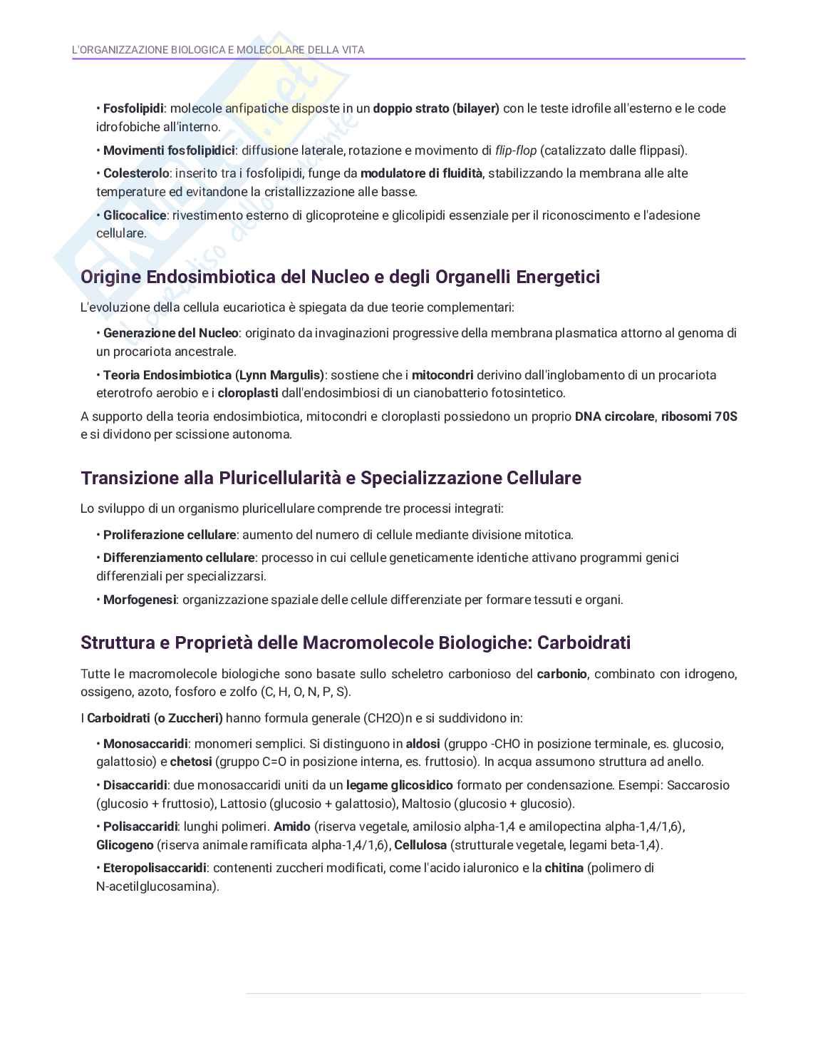 Biologia per semestre filtro Pag. 6