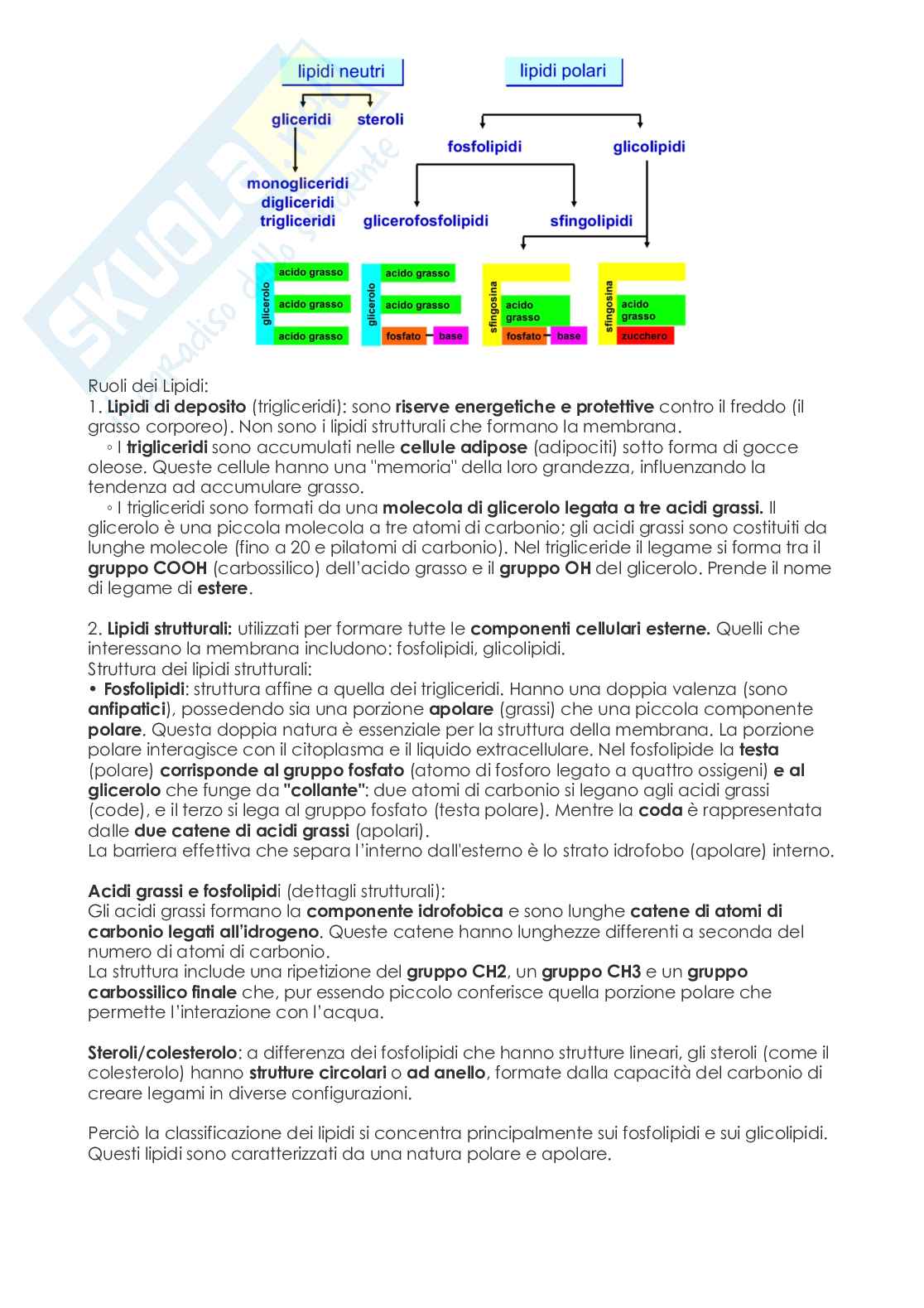 Biologia  Pag. 11