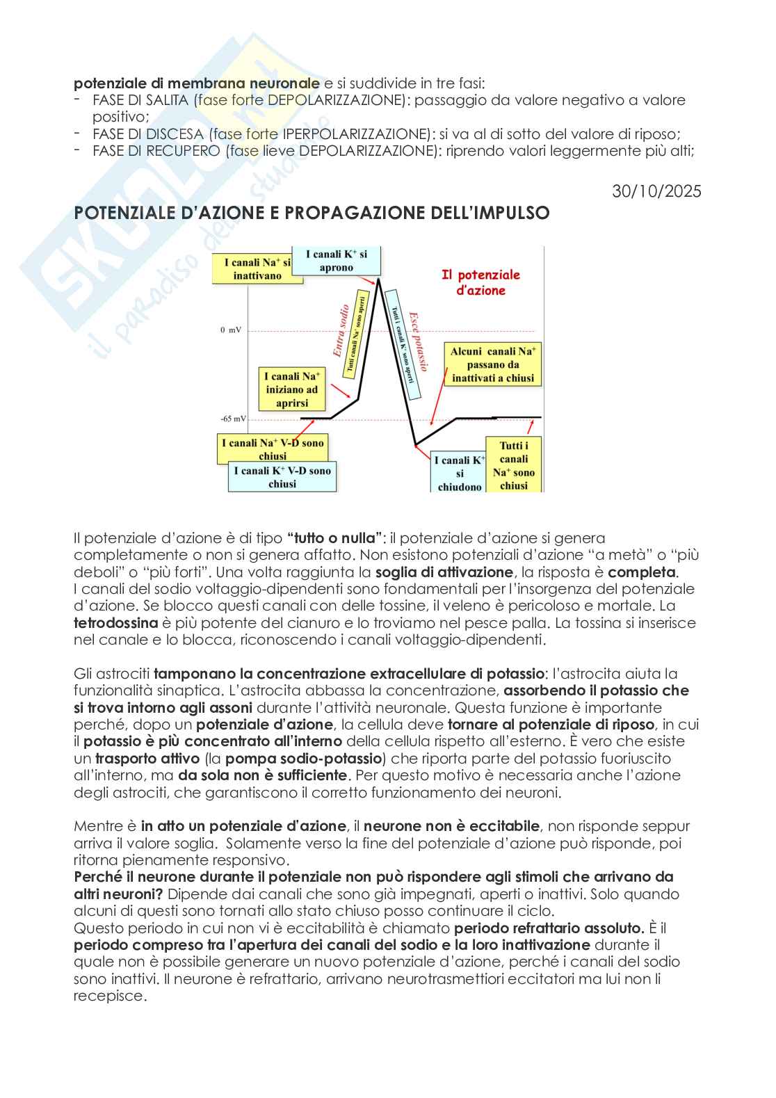 Biologia  Pag. 26