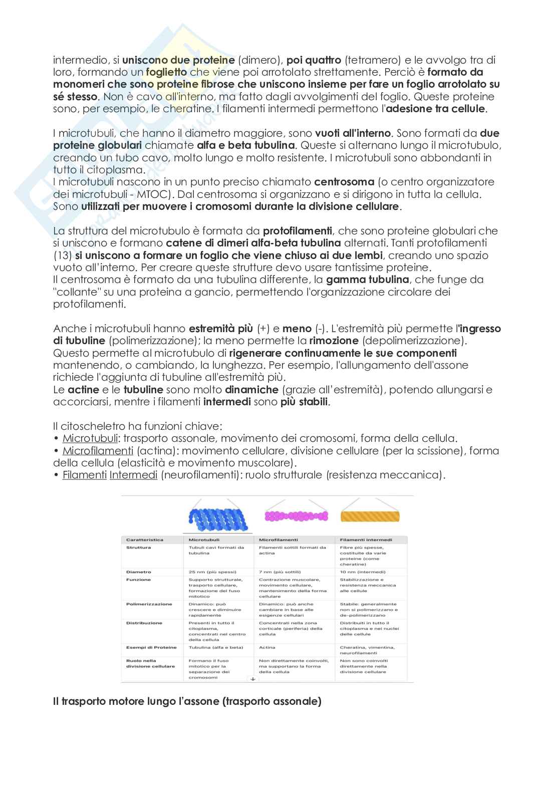 Biologia  Pag. 31