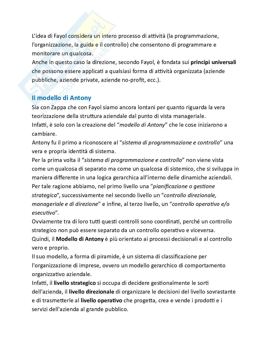 Programmazione e controllo delle imprese turistiche - Teoria, parte 1 - I sistemi manageriali della pianificazione e del controllo Pag. 2