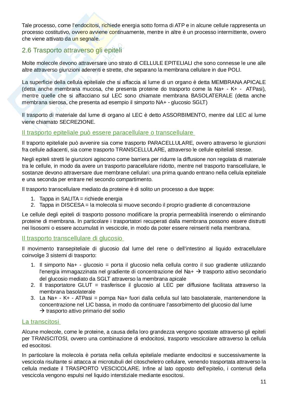 Appunti parte di Fisiologia umana  Pag. 11
