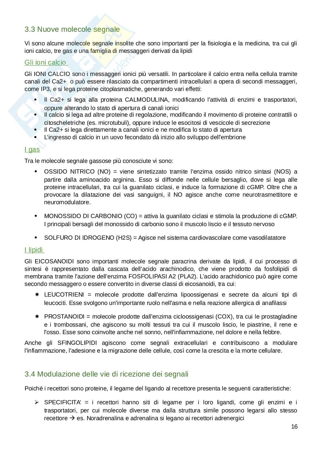 Appunti parte di Fisiologia umana  Pag. 16