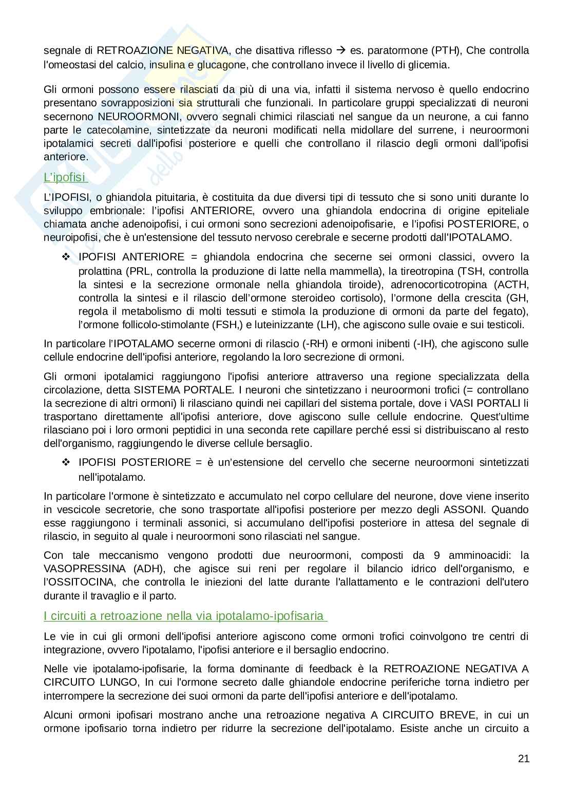 Appunti parte di Fisiologia umana  Pag. 21