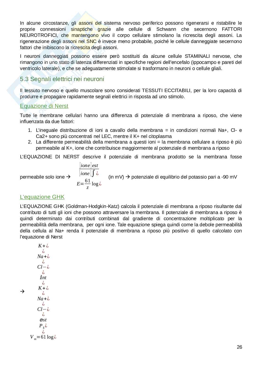 Appunti parte di Fisiologia umana  Pag. 26
