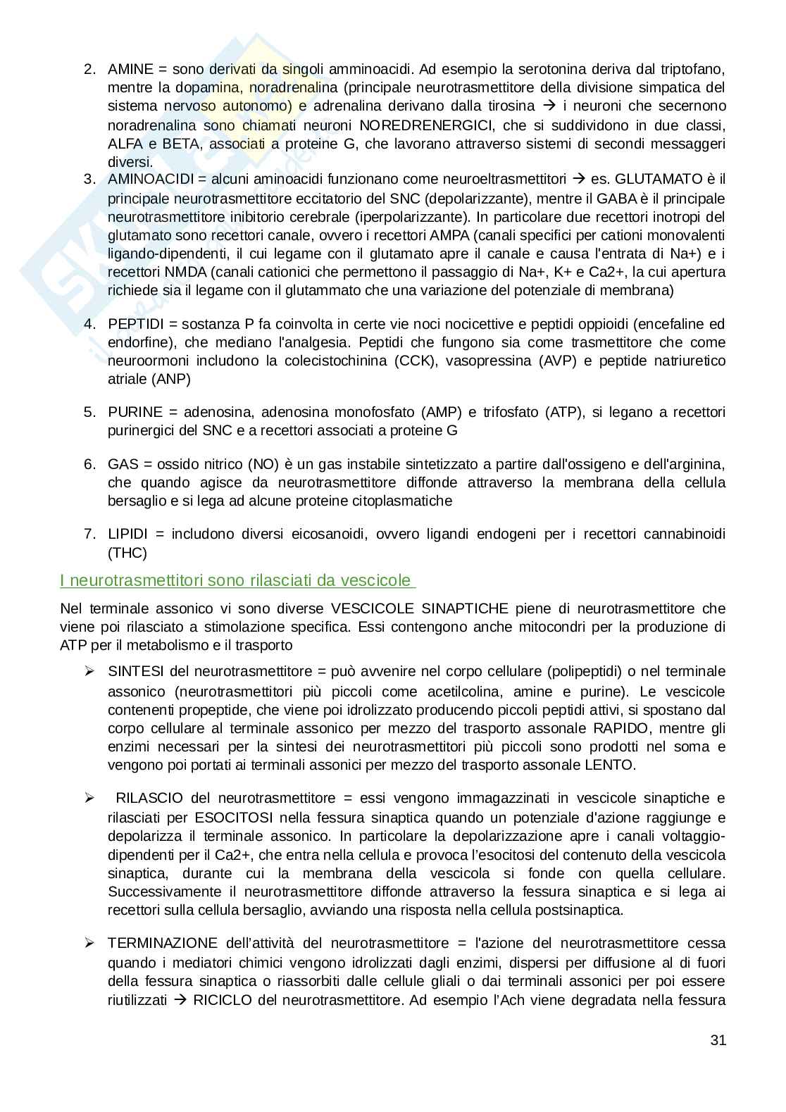Appunti parte di Fisiologia umana  Pag. 31