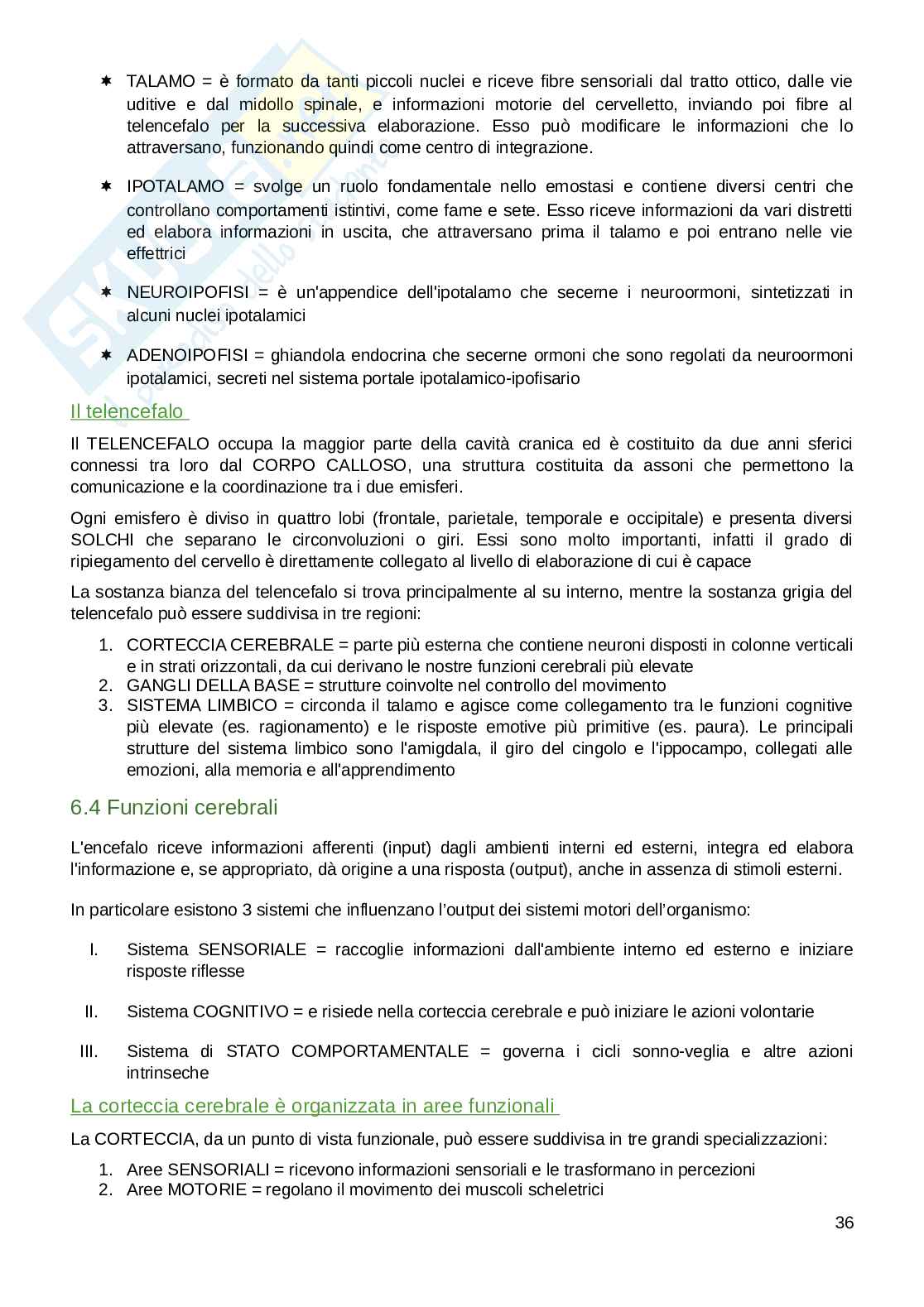 Appunti parte di Fisiologia umana  Pag. 36