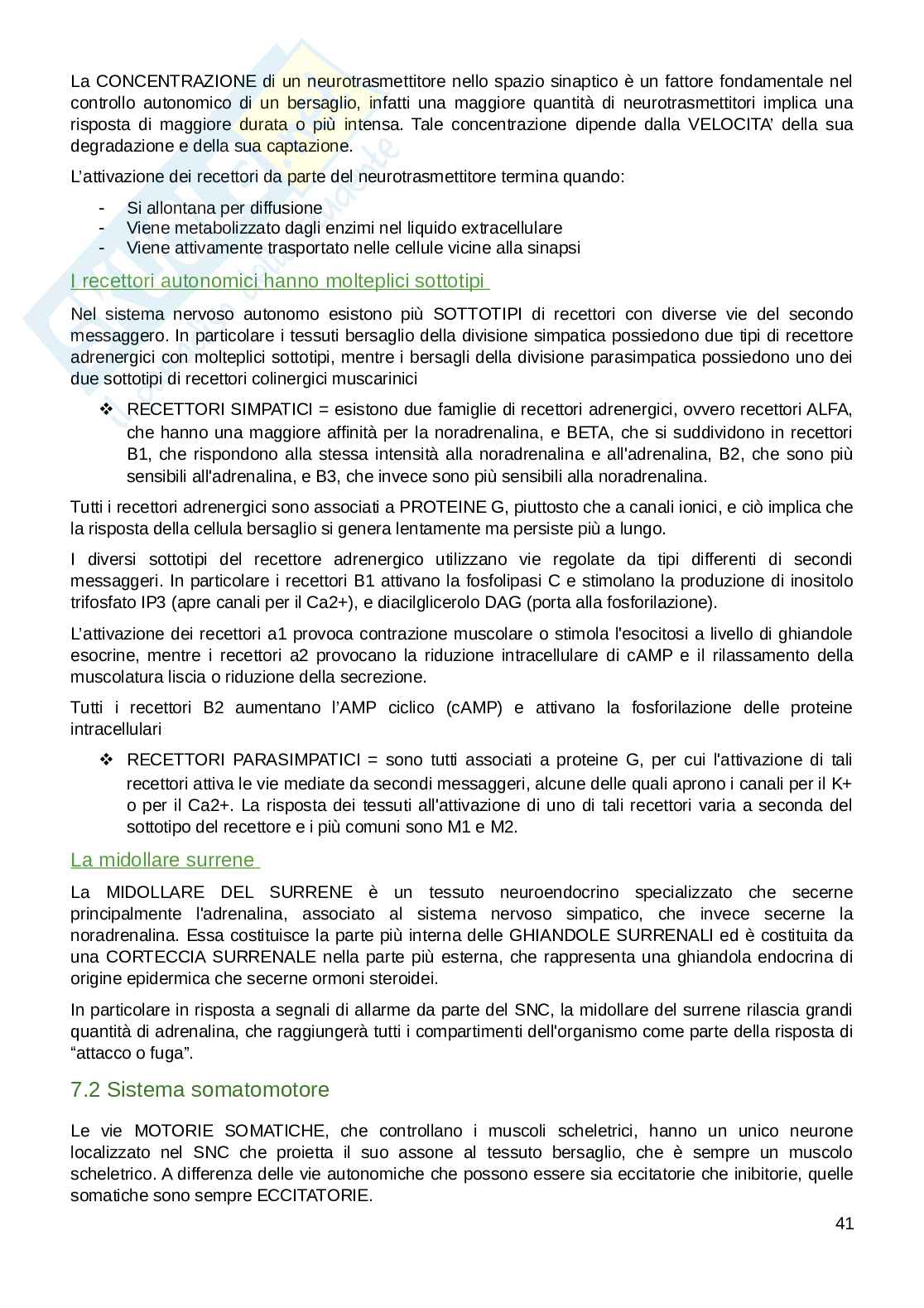 Appunti parte di Fisiologia umana  Pag. 41