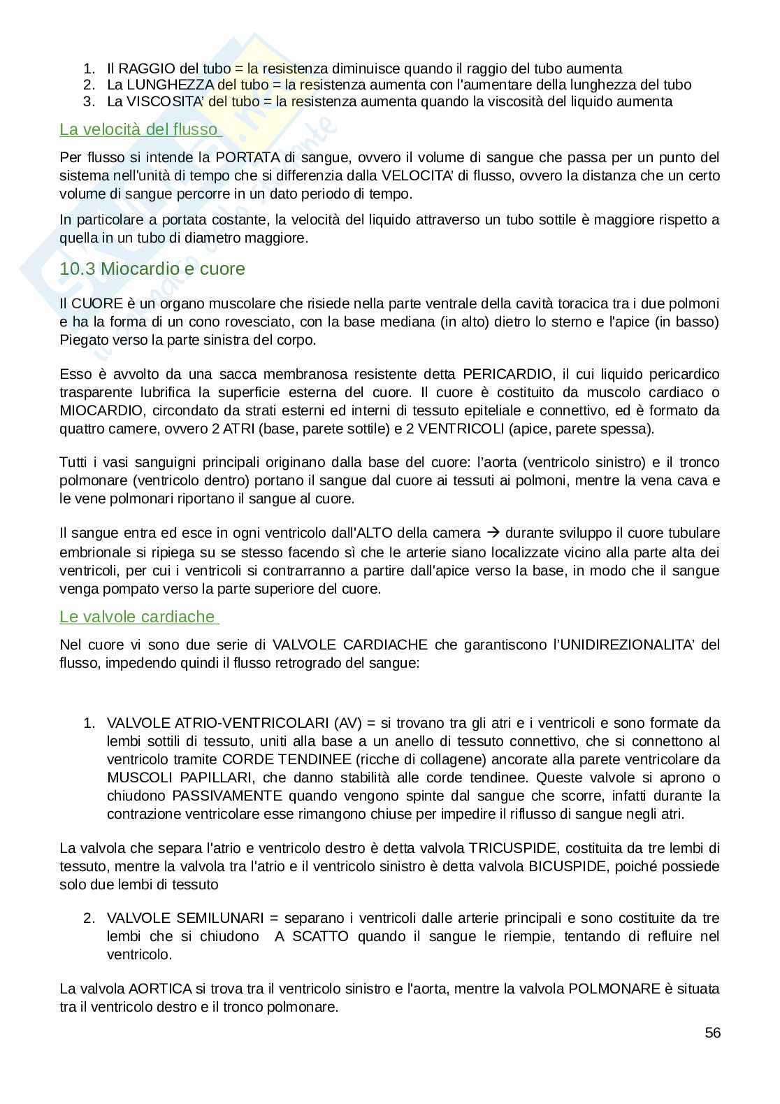 Appunti parte di Fisiologia umana  Pag. 56