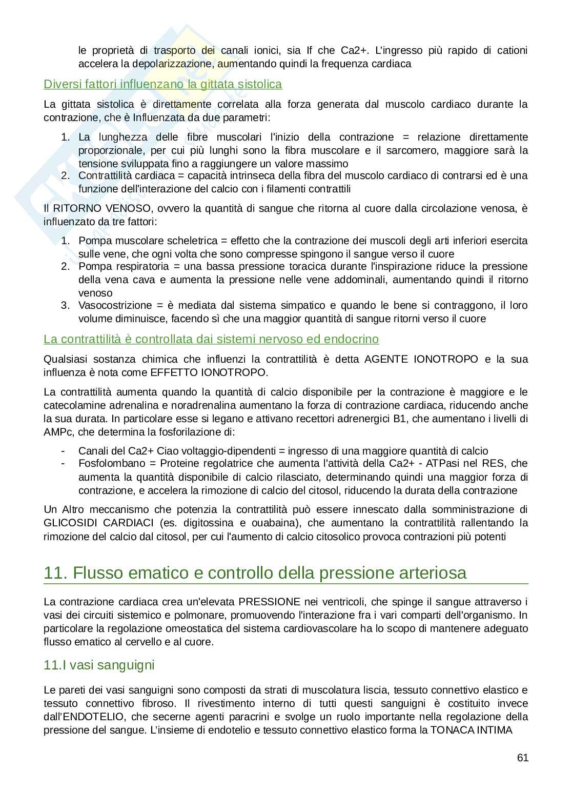 Appunti parte di Fisiologia umana  Pag. 61