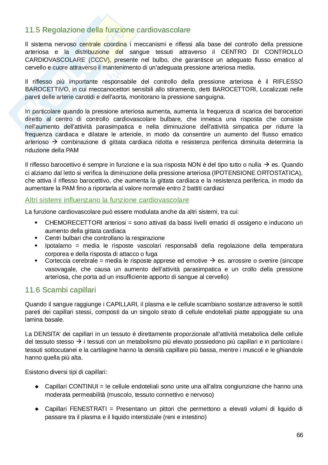 Appunti parte di Fisiologia umana  Pag. 66