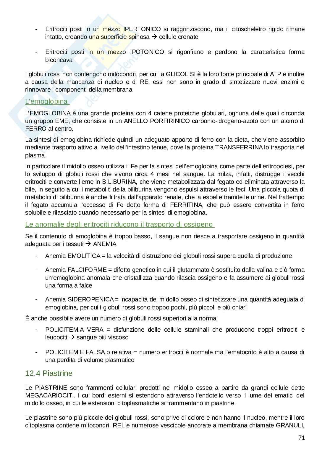 Appunti parte di Fisiologia umana  Pag. 71
