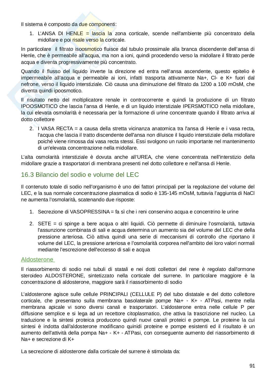 Appunti parte di Fisiologia umana  Pag. 91